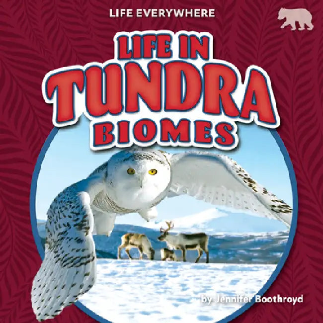 Buy Life in Tundra Biomes (English, Jennifer Boothroyd) — BookShops.in