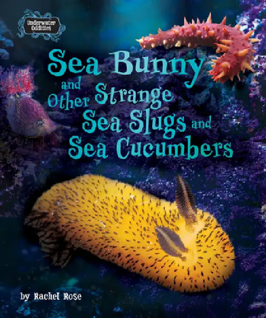 Buy Sea Bunny and Other Strange Sea Slugs and Sea Cucumbers (English, Rachel Rose) — BookShops.in