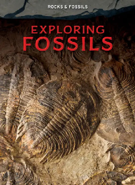 Buy Exploring Fossils (English, Claudia Martin) — BookShops.in