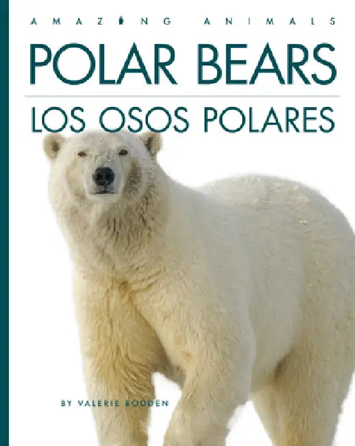 Buy Polar Bears / Los Osos Polares (English, Valerie Bodden) — BookShops.in