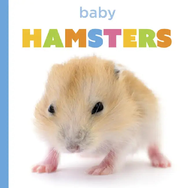 Buy Baby Hamsters (English, Laura K. Murray) — BookShops.in