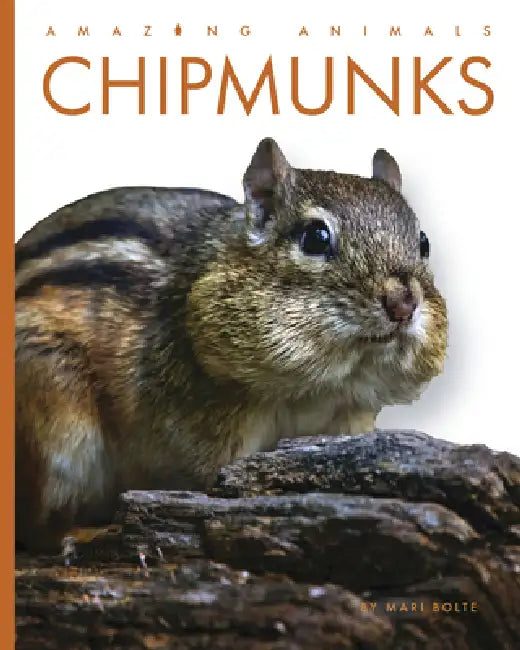 Buy Chipmunks (English, Mari Bolte) — BookShops.in