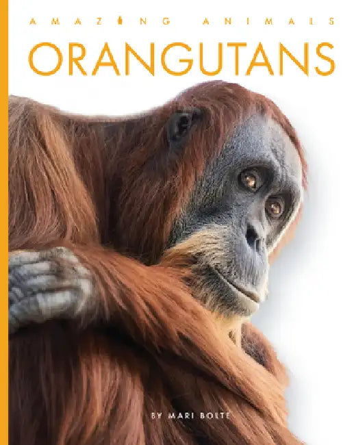 Buy Orangutans (English, Mari Bolte) — BookShops.in