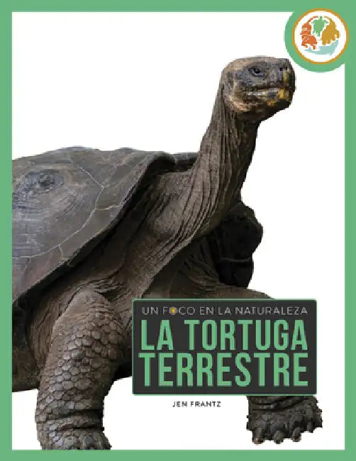 Buy La Tortuga Terrestre (English, Jen Frantz) — BookShops.in
