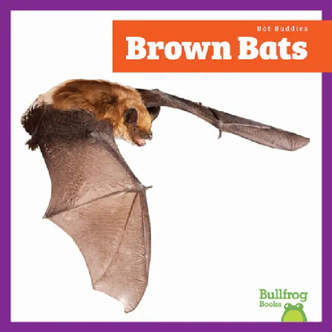 Buy Brown Bats (English, Jenna Lee Gleisner) — BookShops.in