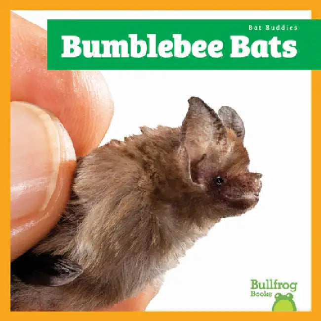 Buy Bumblebee Bats (English, Jenna Lee Gleisner) — BookShops.in