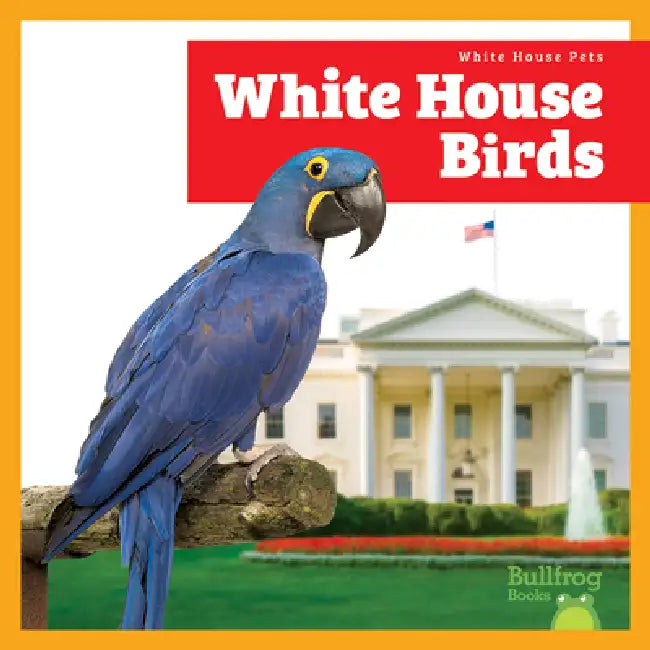 Buy White House Birds (English, Lily Austen) — BookShops.in