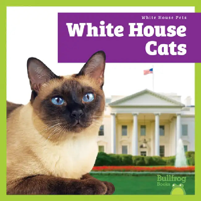 Buy White House Cats (English, Lily Austen) — BookShops.in