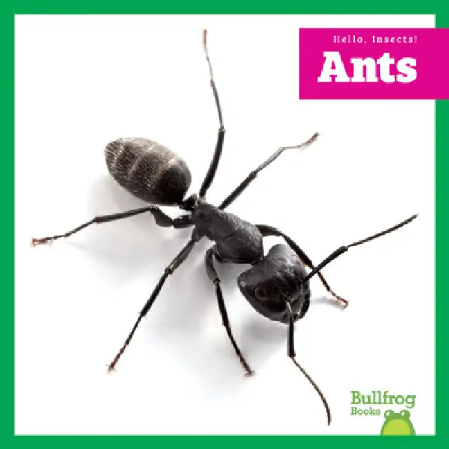 Buy Ants (English, Adeline J. Zimmerman) — BookShops.in