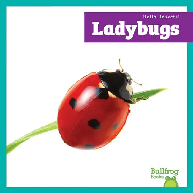 Buy Ladybugs (English, Genevieve Nilsen) — BookShops.in
