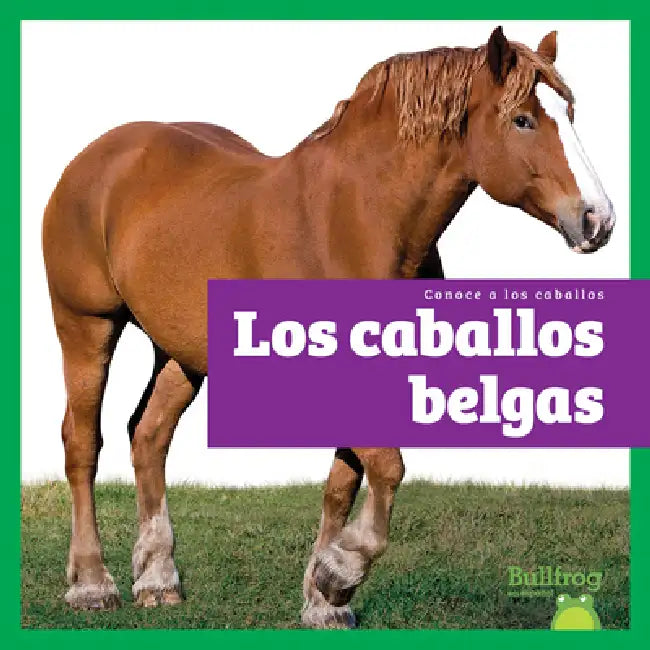 Buy Los Caballos Belgas (Belgian Horses) (English, Rachel Grack) — BookShops.in
