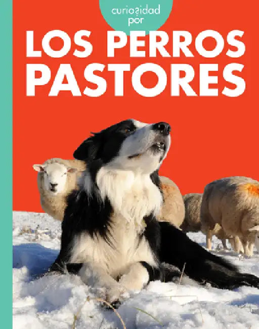 Buy Curiosidad Por Los Perros Pastores (English, Cari Meister) — BookShops.in